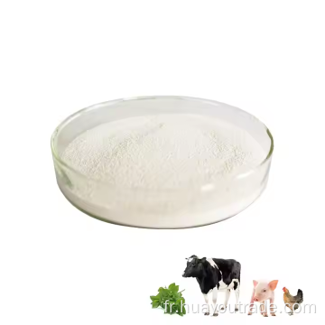 Poudre d&#39;huile 0regano 20% pour les aliments pour animaux